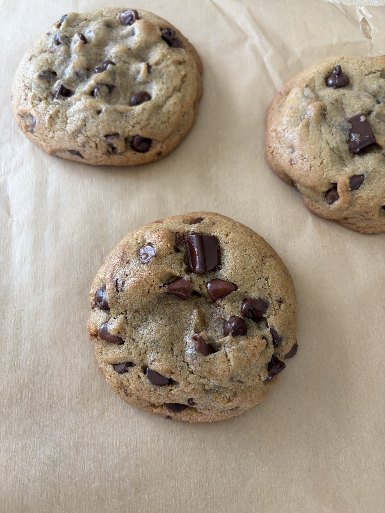 Fresh-baked chocolate chip cookies